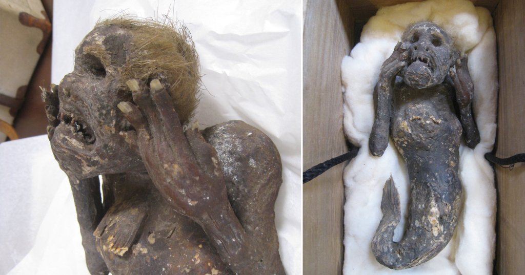 300-Year-Old Mummified “Mermaid” found in Japan Believed to Grant Immortality